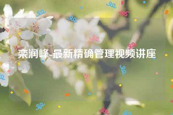栾润峰-最新精确管理视频讲座