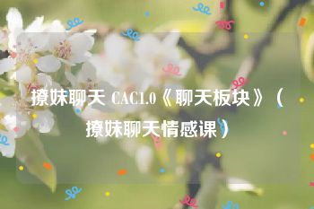 撩妹聊天 CAC1.0《聊天板块》（撩妹聊天情感课）