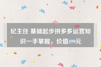 纪主任 基础起步拼多多运营知识一手掌握，价值499元