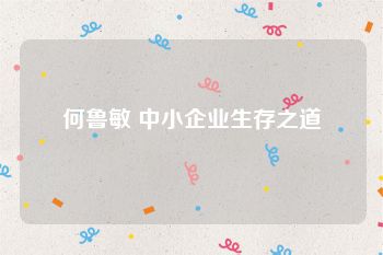 何鲁敏 中小企业生存之道