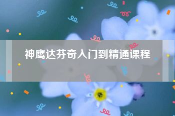 神鹰达芬奇入门到精通课程