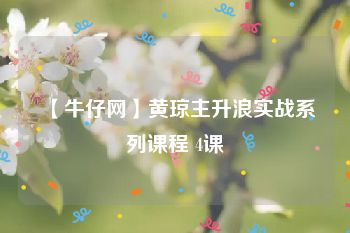 【牛仔网】黄琼主升浪实战系列课程 4课