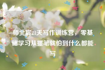师北宸21天写作训练营，零基础学习从提笔就怕到什么都能写