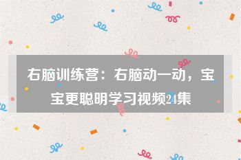 右脑训练营：右脑动一动，宝宝更聪明学习视频24集