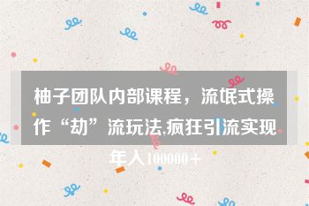 柚子团队内部课程，流氓式操作“劫”流玩法,疯狂引流实现年入100000+