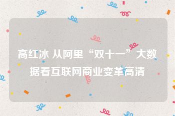 高红冰 从阿里“双十一”大数据看互联网商业变革高清
