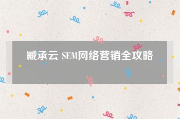 臧承云 SEM网络营销全攻略