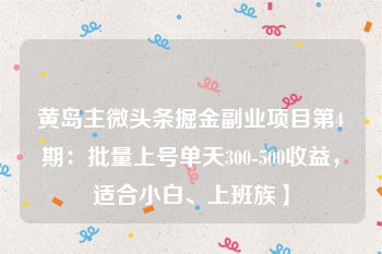 黄岛主微头条掘金副业项目第4期：批量上号单天300-500收益，适合小白、上班族】