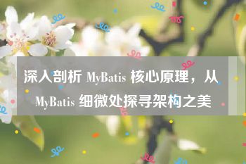 深入剖析 MyBatis 核心原理，从 MyBatis 细微处探寻架构之美