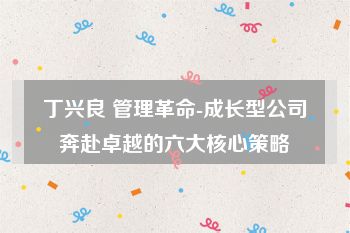 丁兴良 管理革命-成长型公司奔赴卓越的六大核心策略