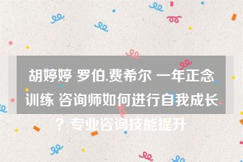 胡婷婷 罗伯.费希尔 一年正念训练 咨询师如何进行自我成长？专业咨询技能提升