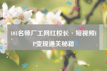 101名师厂工网红校长·短视频IP变现通关秘籍