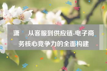 潇彧 从客服到供应链-电子商务核心竞争力的全面构建