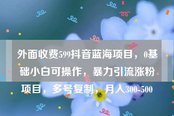 外面收费599抖音蓝海项目，0基础小白可操作，暴力引流涨粉项目，多号复制，月入300-500